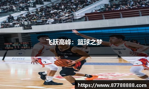 江南.体育jn